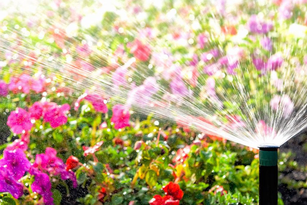 آبیاری هوشمند باغچه: افزایش بهره‌وری در مراقبت از گیاهان